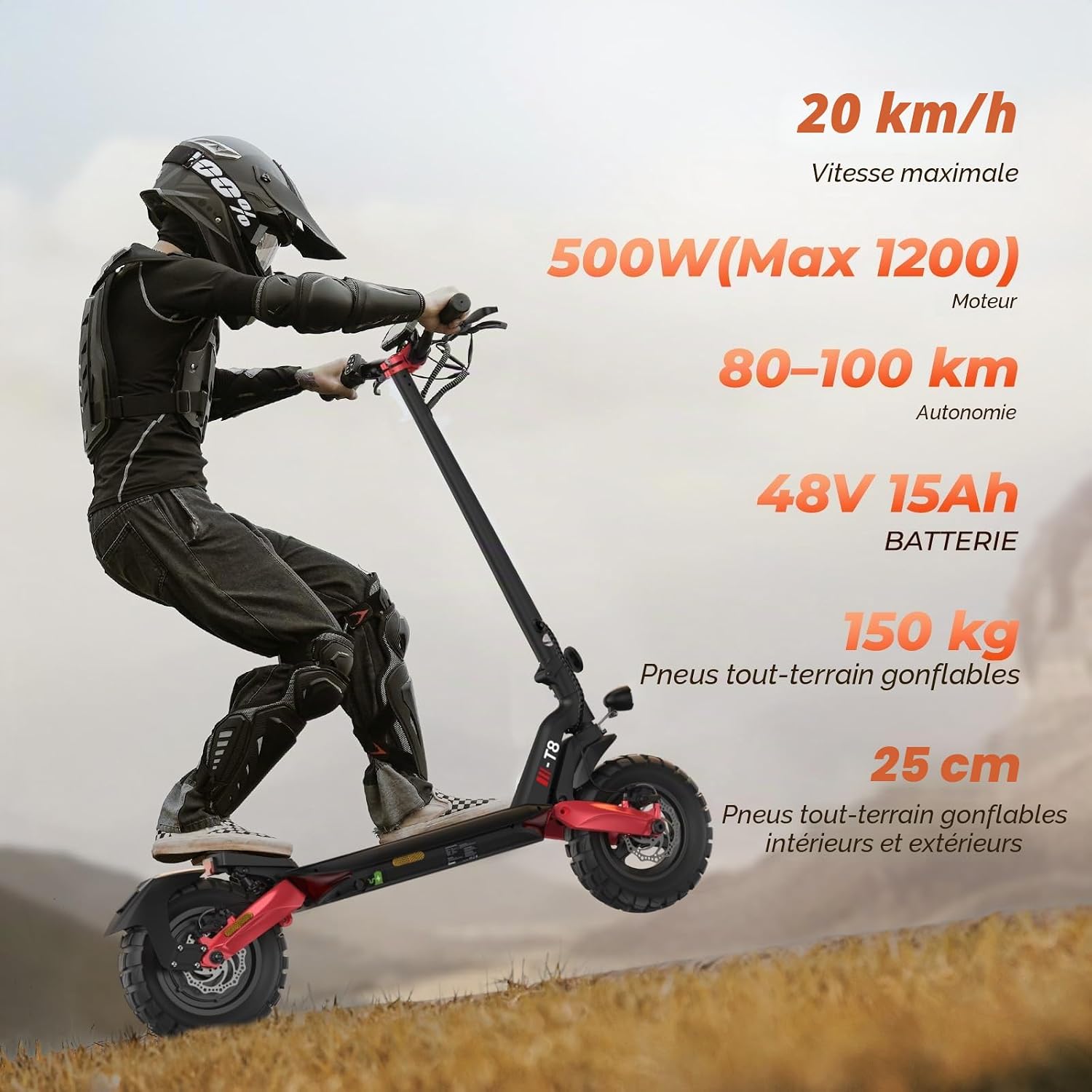 Trottinette E avec autorisation de Circulation routière, portée de 80 à 100 km, 48 V 15 Ah, pneus pneumatiques Tout-Terrain 10", Trottinette électrique ABE avec Double Absorption des Chocs, Pliable