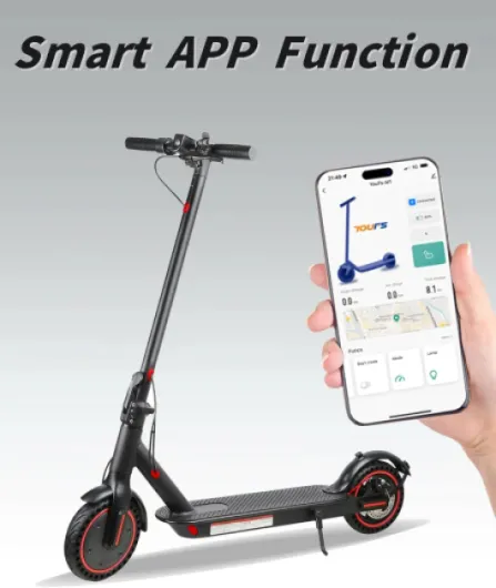 71LPNBn36bL._AC_SL1500_