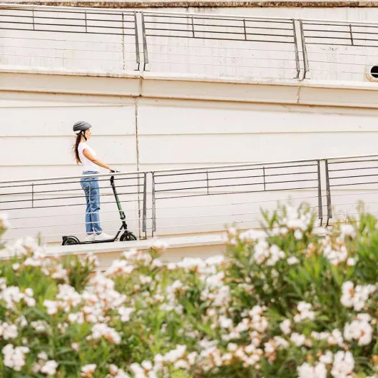 61b3kG9OwZL._AC_SL1000_