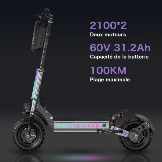 RAYI T90 Tout-Terrain Trottinette Électrique Adulte Puissante, Batterie 60V 31.2Ah Autonomie 100 km, Roues 13 Pouces Tout-Terrain, Double Suspension Scooter Electrique Adulte