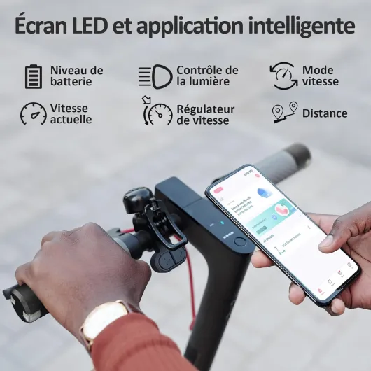 71QEzfslfyL._AC_SL1500_