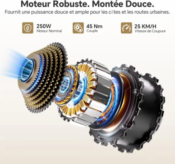 Touroll J2 St Vélos électriques, Autonomie 100KM, Vélo de Trekking avec Moteur 250W 45Nm, Batterie Amovible 561Wh, 26" Vélo Électrique Adulte, E-Bike, vélo électrique Urbain Gris