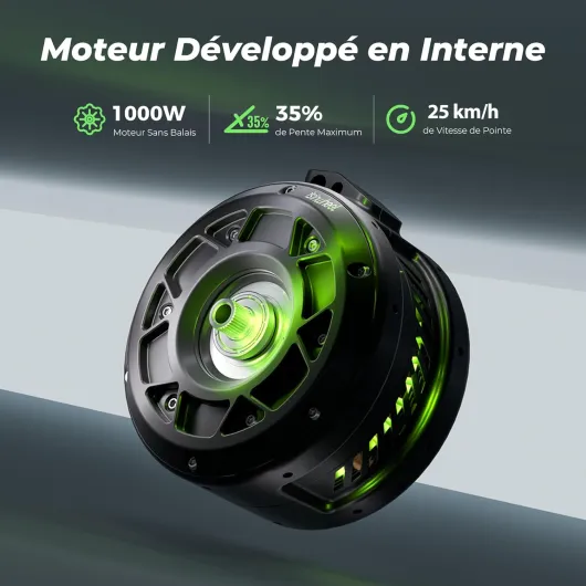 S10MAX Trottinette Électrique Adulte 1000W,Batterie 54.6V 15Ah,Autonomie 60KM,Pneus Tout Terrain 10",Double Bras Oscillant,APP Connectée,Écran LED,Pliable avec Sac de Transport