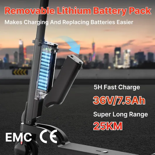 7146LcD6KsL._AC_SL1500_