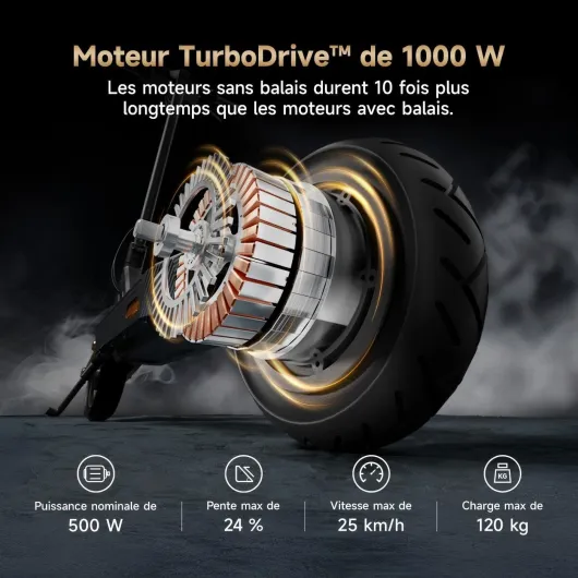 71SEia445DL._AC_SL1400_