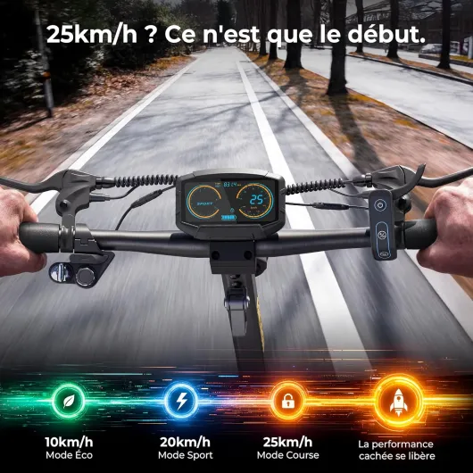 813VUbCB4DL._AC_SL1500_