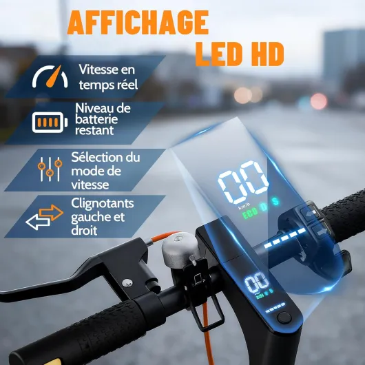 713DA 85PzL._AC_SL1500_