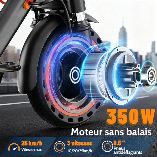 813SziOn4JL._AC_SL1500_