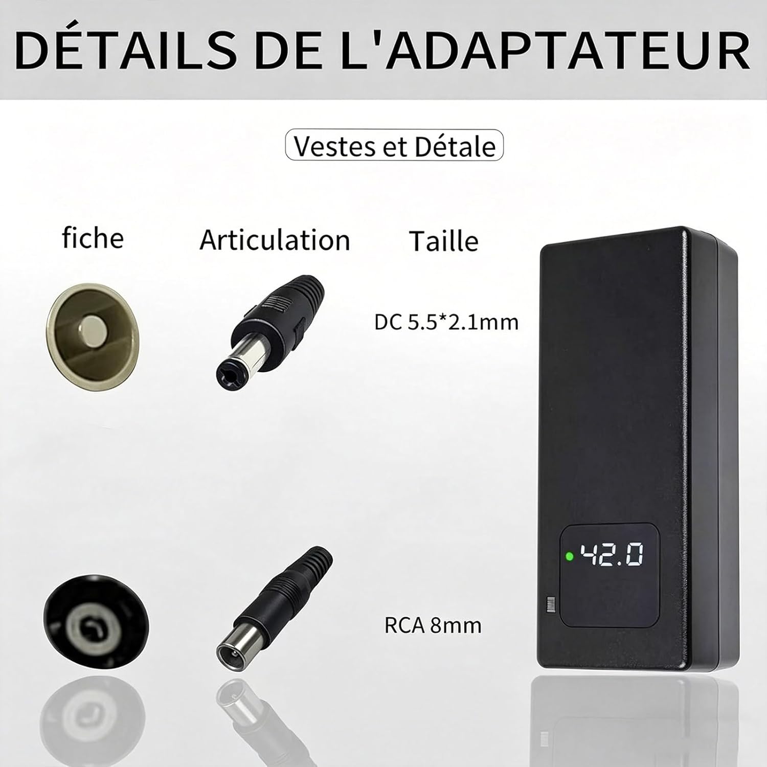 Chargeur Rapide 42V 2A pour Batterie Lithium 36V, avec Affichage LED et Multiples Fonctions de Protection et de réparation, équipé de connecteurs (RCA 8mm, DC 5.5 * 2.1mm, GX12 9mm) YZ100-2A