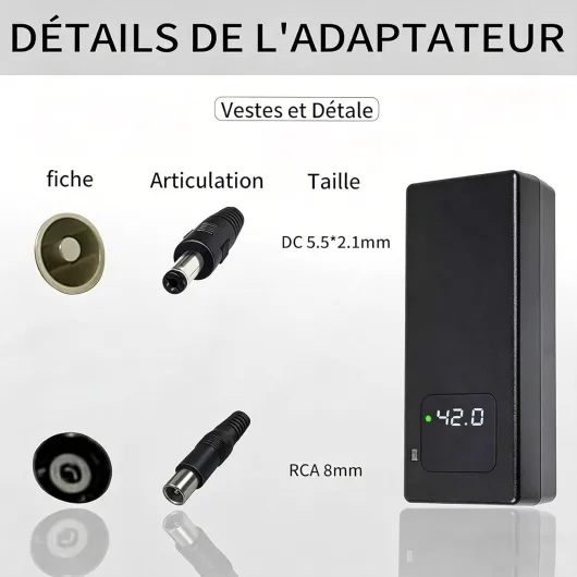 Chargeur Rapide 42V 2A pour Batterie Lithium 36V, avec Affichage LED et Multiples Fonctions de Protection et de réparation, équipé de connecteurs (RCA 8mm, DC 5.5 * 2.1mm, GX12 9mm) YZ100-2A