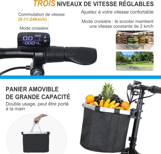 ES11 Tricycle de Mobilité 3 Roues, Pliable et Légère, à Double Moteur pour Adultes et Seniors avec Siège Ergonomique et Batterie Amovible, 3+1 Vitesses, E-Trike avec Panier - Noir