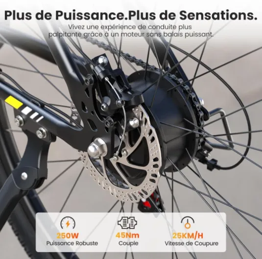 Touroll U1 Vélo Électrique, 26"/29" Vélo Électrique en Montagne pour Adulte, VTT électrique 250 W, Batterie Amovible 13AH, Autonomie 65 km, E-Bike 21 Vitesses U1 26-NOIR