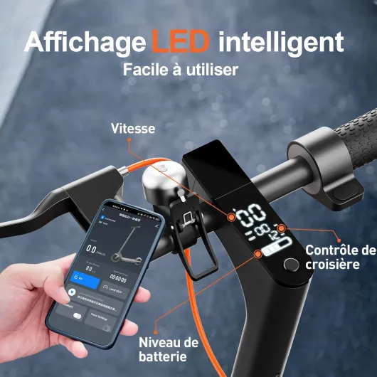 Trottinette Électrique Adulte Légère Amortisseur Avant 35KM APP - Moteur crête 650W, 36V 7.8Ah, charge 130kg, poids 12kg, pneus pleins alvéolés increvables, double freinage Gris-S6 8,5 pouces