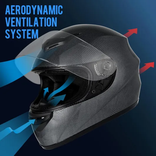 Casque Moto Intégral Homme et Femme, Carbone L (59-60cm) - Homologué ECE, Respirant et Confortable, avec Visière Transparente Anti-Rayures et Fermeture Micrométrique, pour Moto Fibre de carbone L (59-60cm)