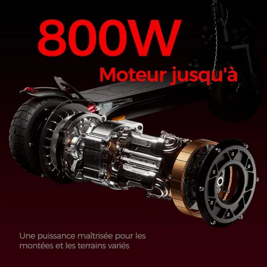 Trottinette Électrique Tout Terrain 800W,Batterie 48V 15,6Ah,Jusqu'à 50 km d'Autonomie,Pneus Tubeless Off-Road 10",Double Suspension,Clignotants,Application Bluetooth,Charge Max 150 kg