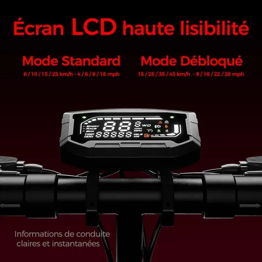 614cPtw2ocL._AC_SL1000_